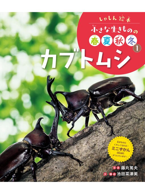 Title details for しゃしん絵本　小さな生きものの春夏秋冬　カブトムシ by 藤丸篤夫 - Available